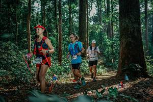 BIB: 
                            <button type="button" onclick="openModal(26132830)" class="btn btn-primary btn-sm float-right btn-popup" data-toggle="modal" data-target=".modal-high-quality">
                        <i class="fas fa-shopping-cart"></i> Add to Cart
                    </button>
                                            <button type="button" onclick="isThisMe(26132830, true)" class="btn btn-success btn-sm float-right btn-popup btn-isme hidden" data-toggle="tooltip" data-placement="bottom" title="นี่คือรูปของคุณใช่ไหม คลิกที่นี่เพื่อเอาเข้าอัลบั้ม">
                        <i class="fas fa-plus"></i> Add to album
                    </button>
                    <button type="button" onclick="isThisMe(26132830, false)" class="btn btn-warning btn-sm float-right btn-popup btn-isnotme hidden">
                        <i class="fas fa-ban"></i> Remove from album
                    </button>